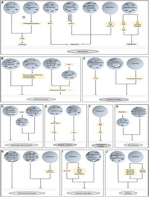 Role of Exosomes in Brain Diseases